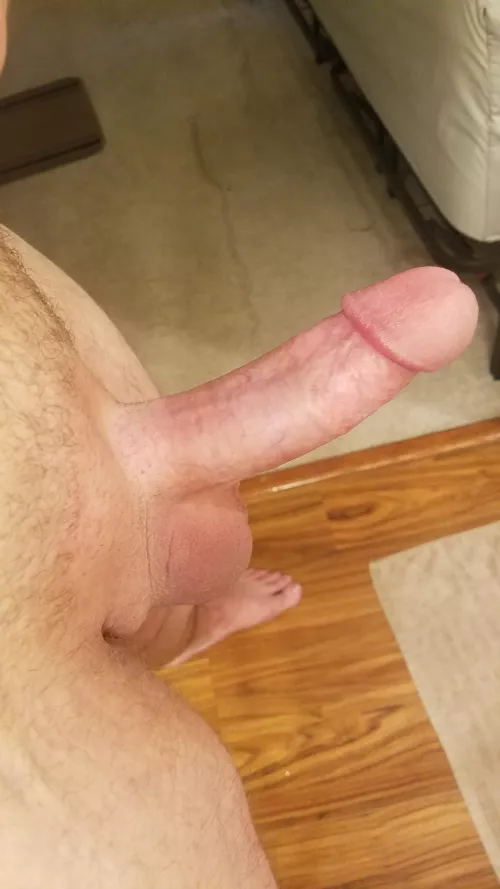 Morning wood to start the week ✌😎 M. 29.