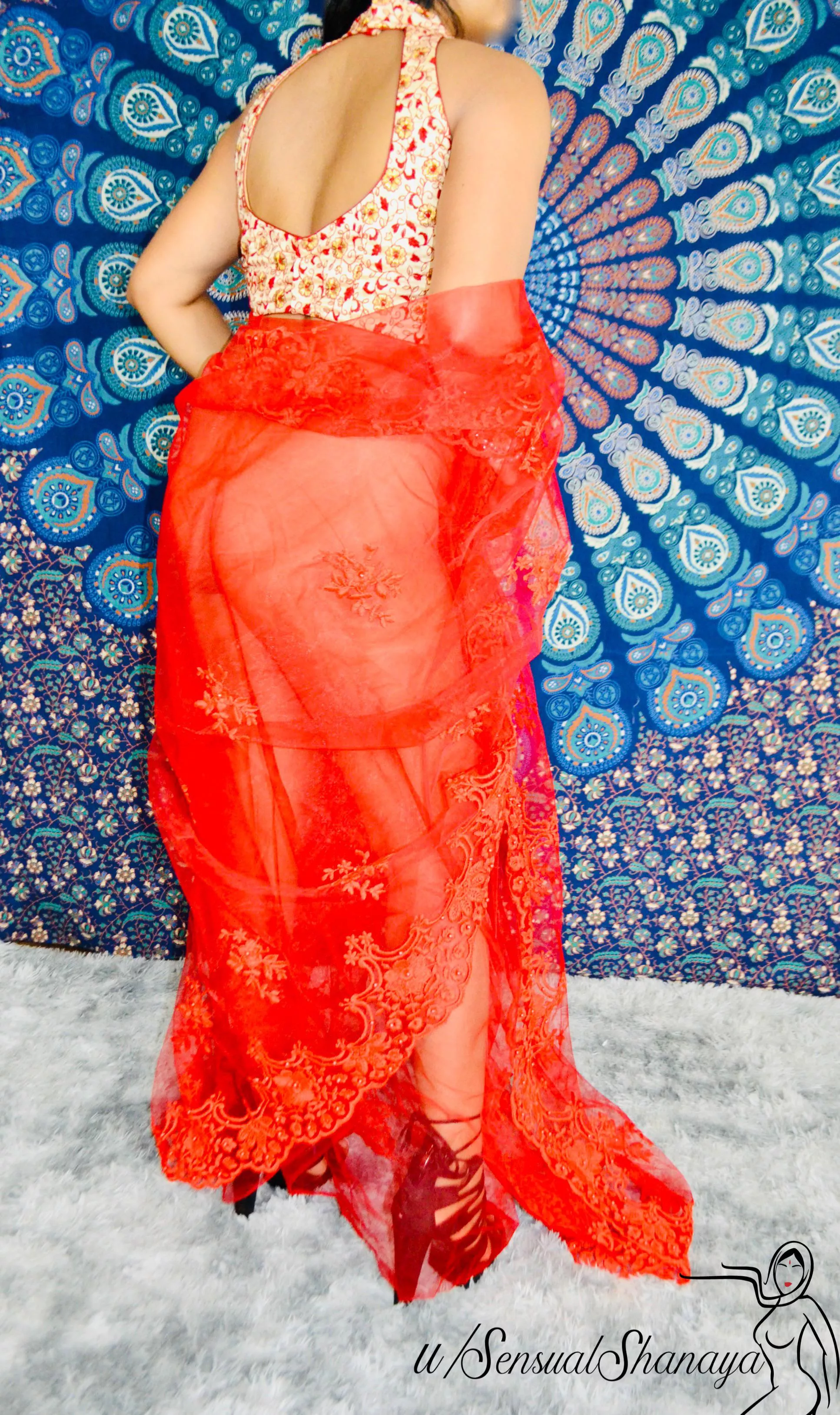 My 100% desi booty through my sexy transparent saree