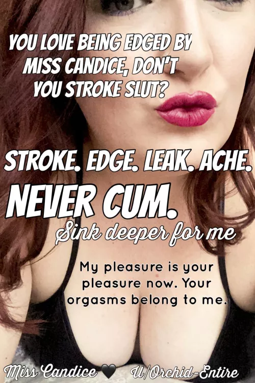 Oh darling…beg me for release and I’ll laugh in your face 🖤