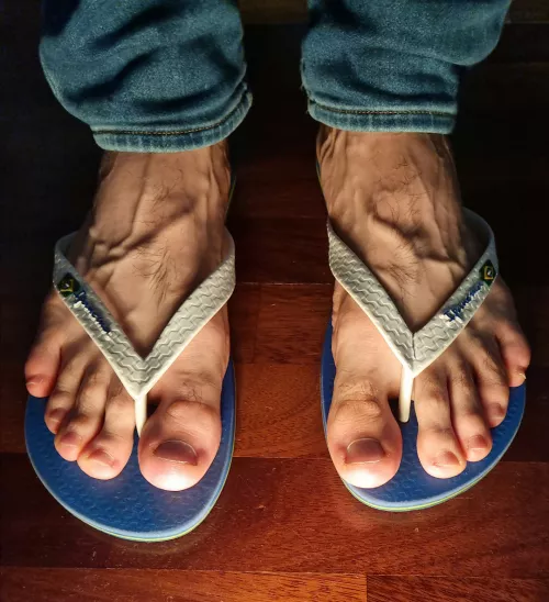 Oh slaves, I have a treat for you!... Better things to come *tweet tweet 🐥*