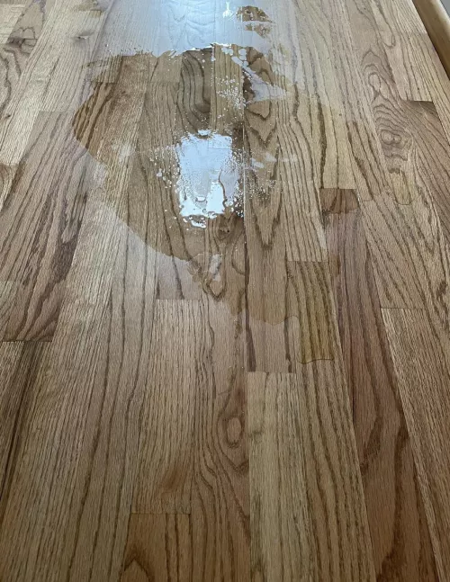 Oops made a mess 😇