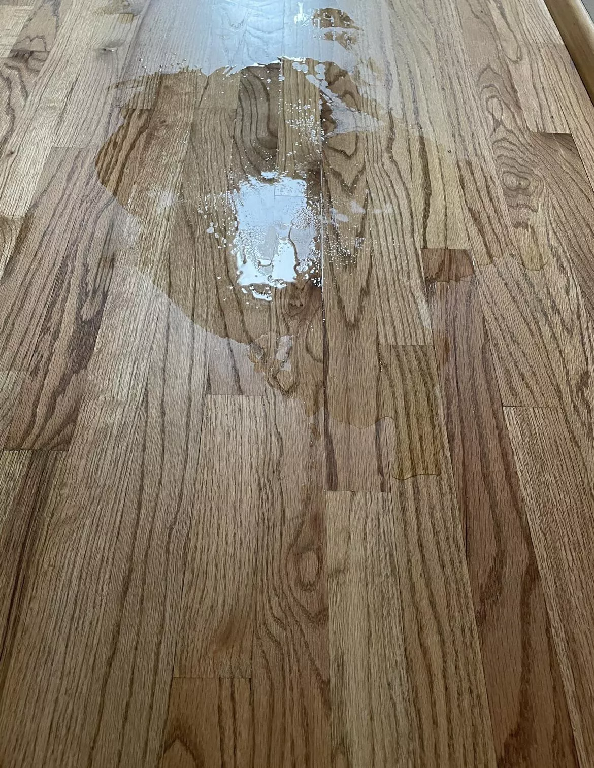 Oops made a mess 😇