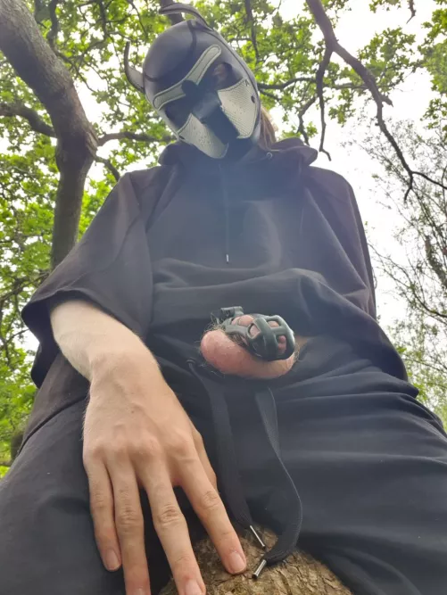 Puppy got out today, hope no one saw me! ;)