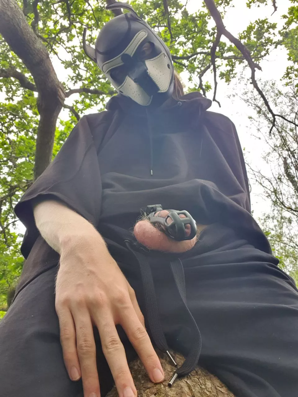 Puppy got out today, hope no one saw me! ;)