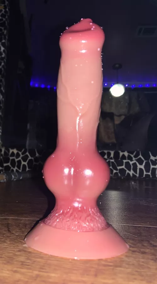 Really good for the price range!!