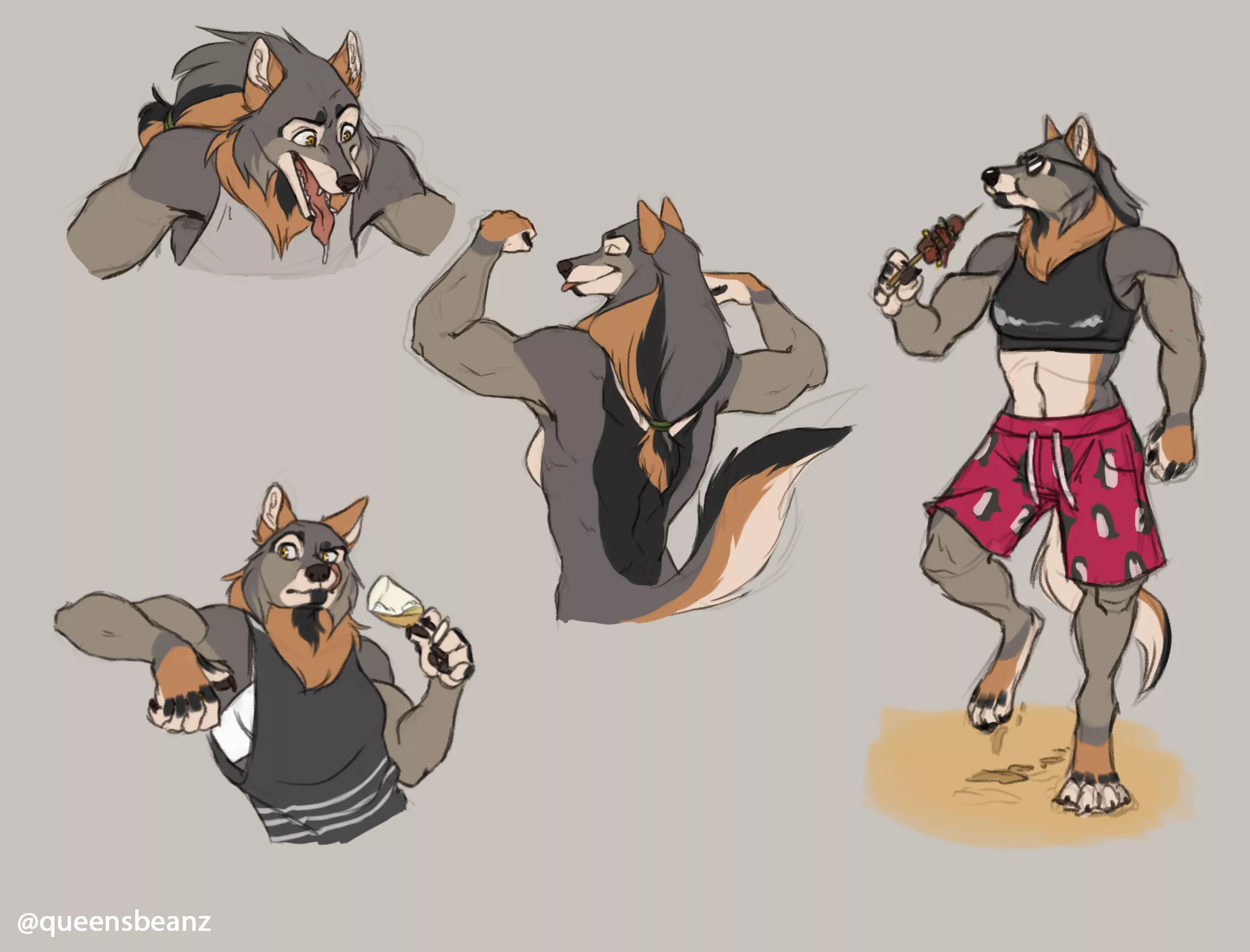 Some quick sketches of Brie, my wolf character! By me