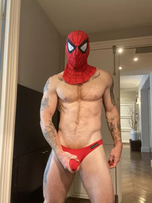 Spidey is here to save the day