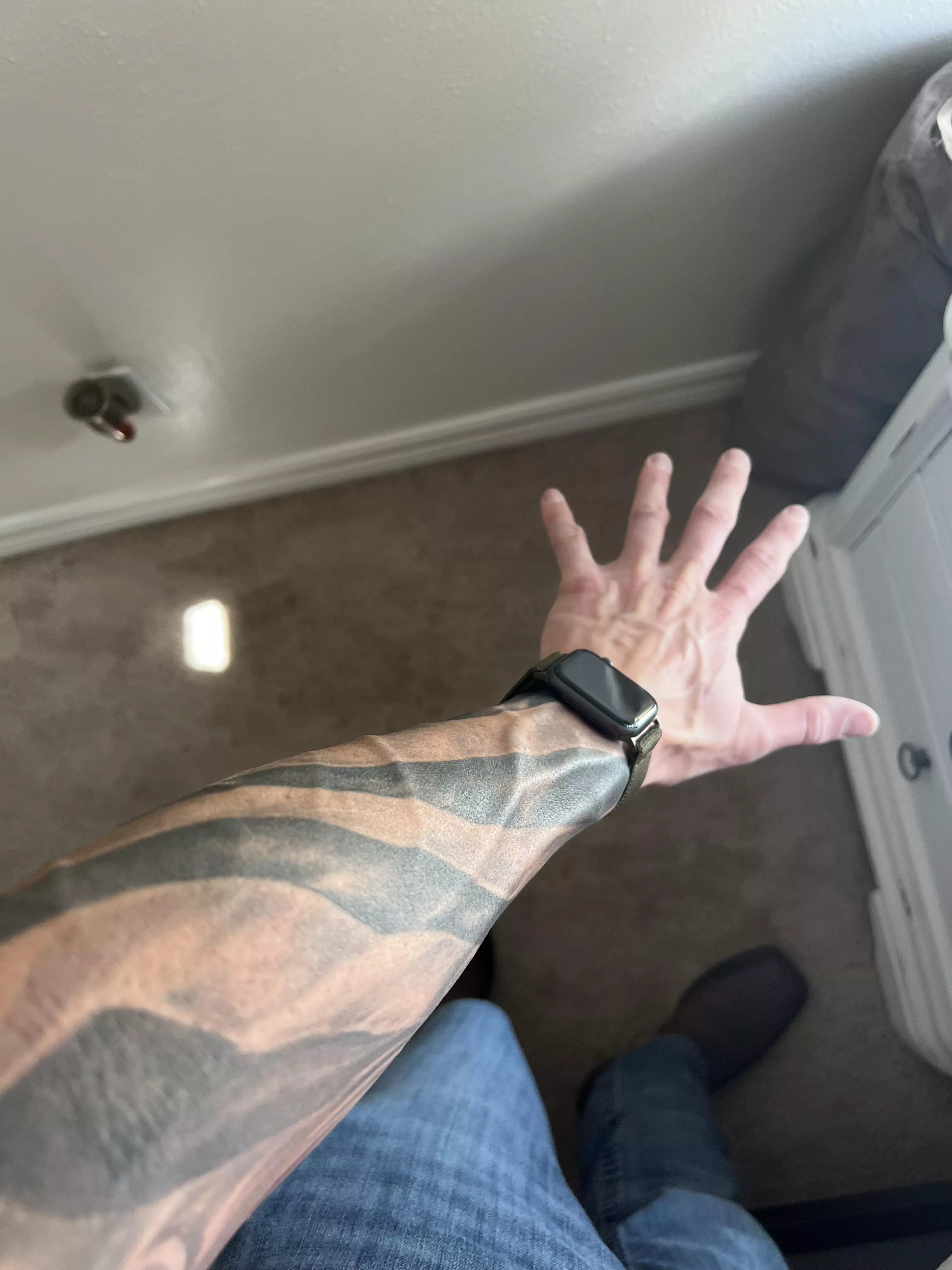 That sunlight hitting right