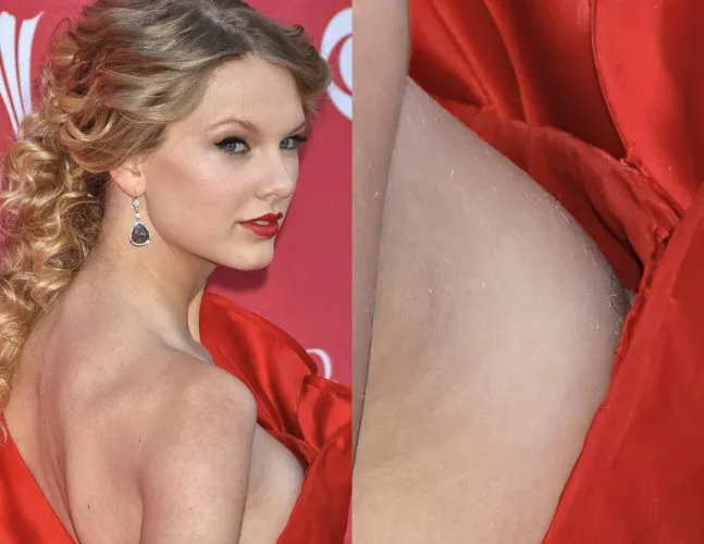 The only pic of Taylor Swift’s nipples
