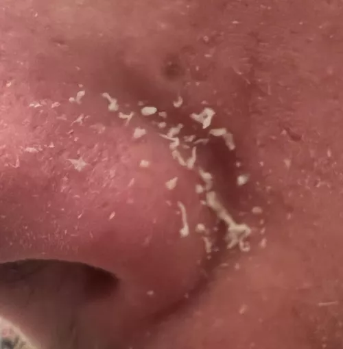 Todays haul - hope you enjoy (maybe a video next time?) I do this every few days.