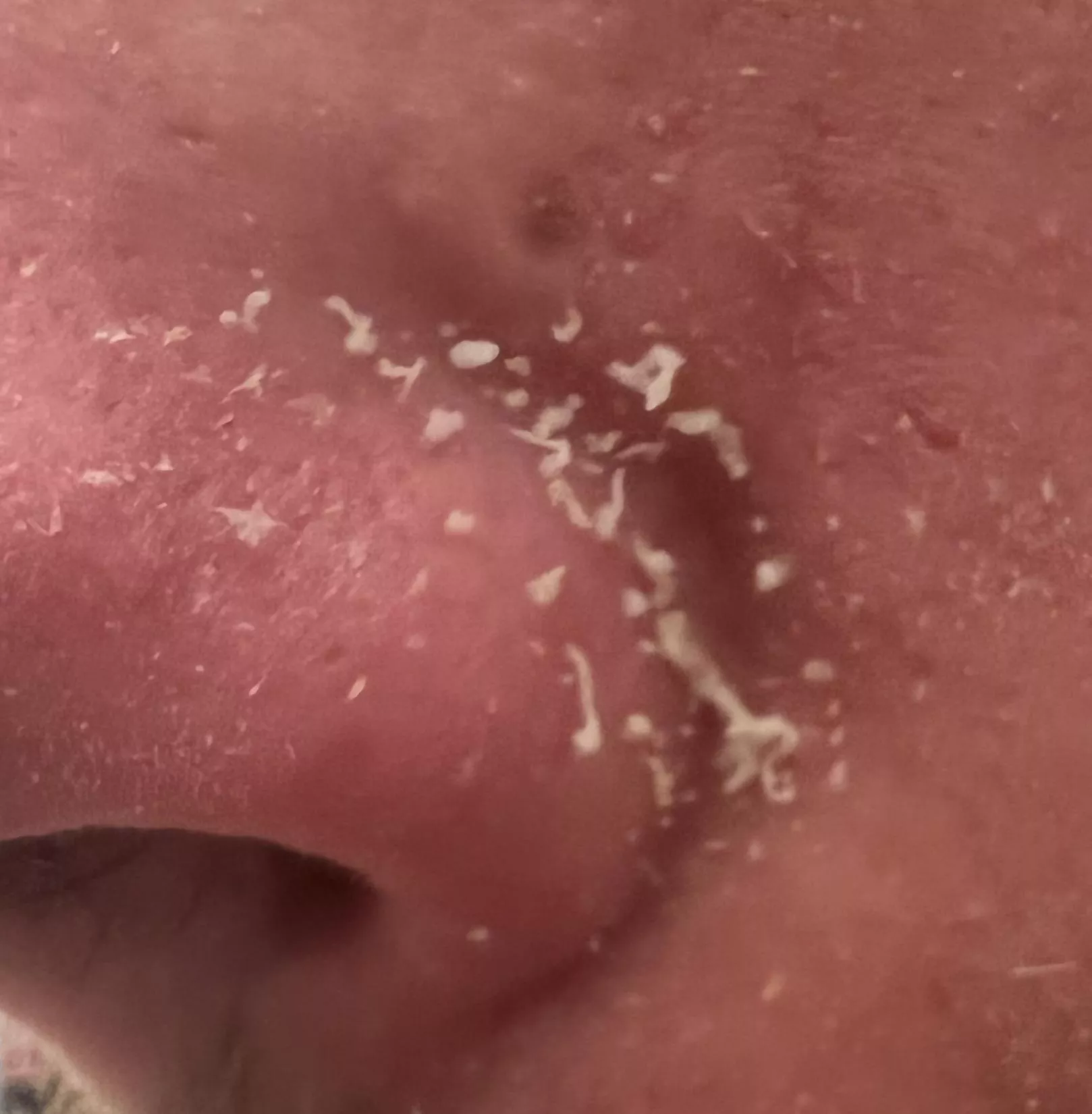 Todays haul - hope you enjoy (maybe a video next time?) I do this every few days.