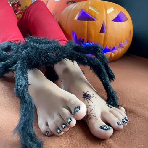 Trick or treat? Happy halloween!