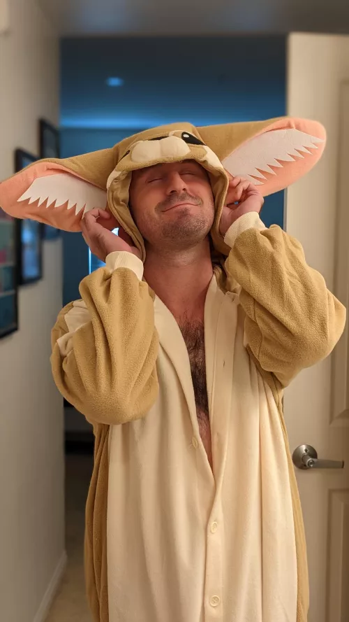 we did kigurumis this year, I'm a fennec fox 🦊