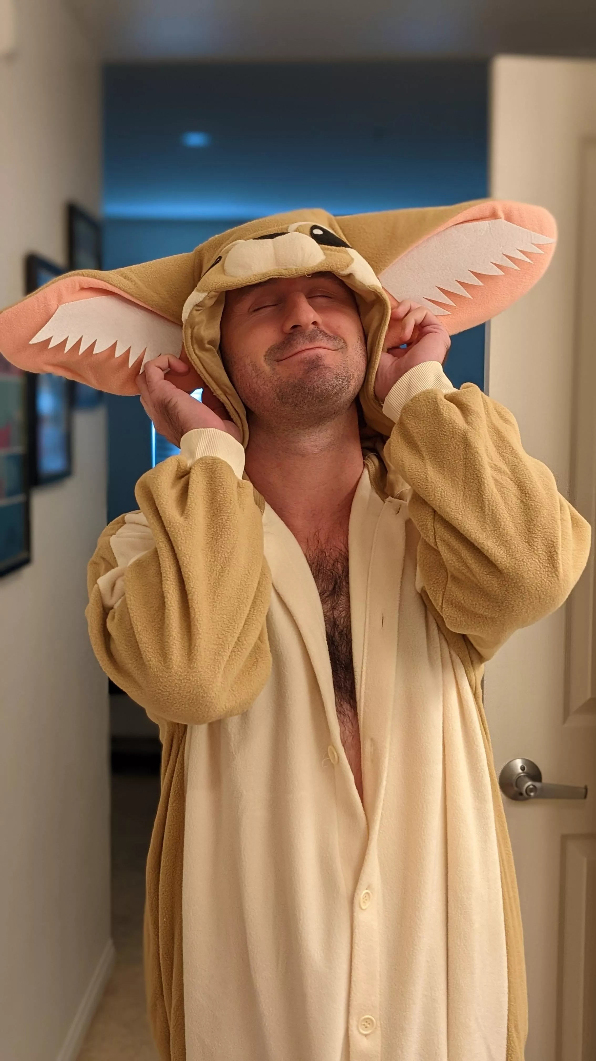 we did kigurumis this year, I'm a fennec fox 🦊