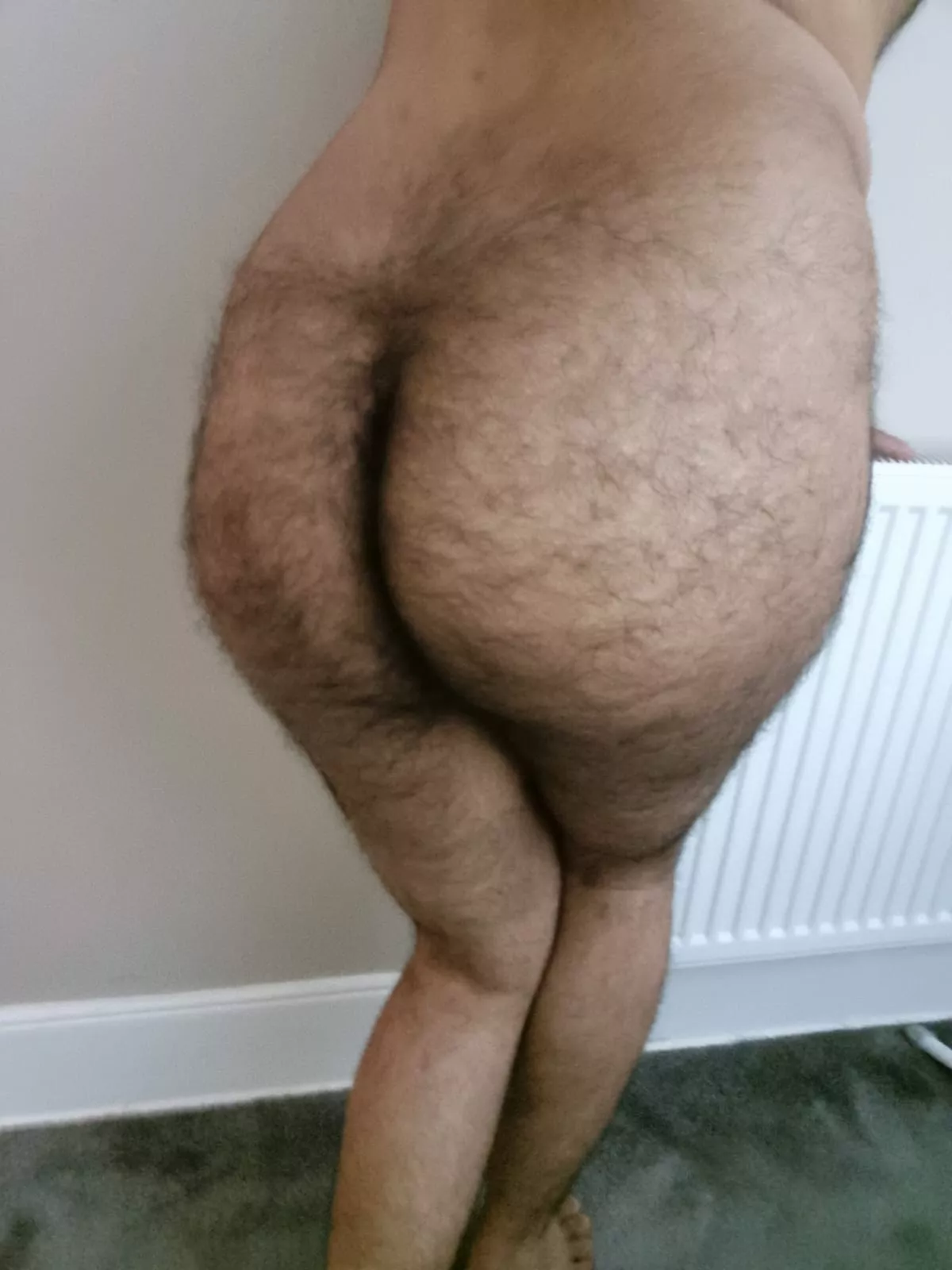 What do you think of my furry ass?