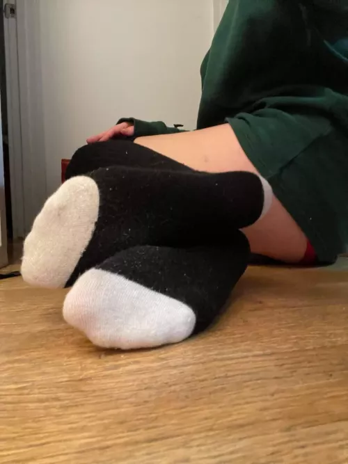 Who wants my sweet stinky socks