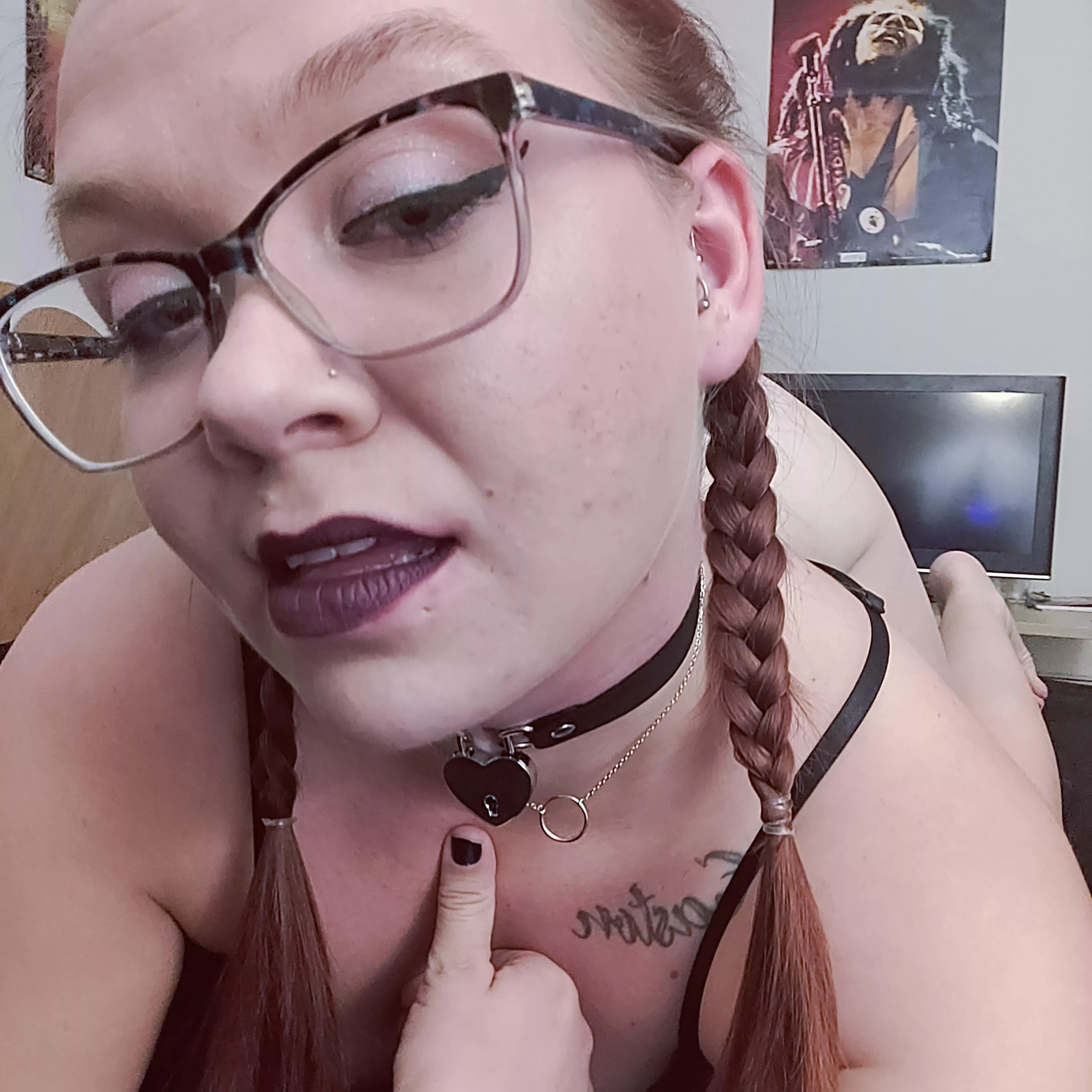 Would you use a leash, or just pull the braids?