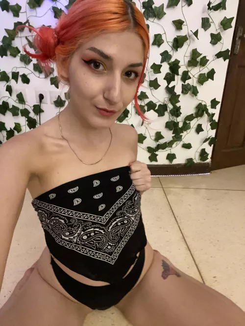 You can put you balls on my face