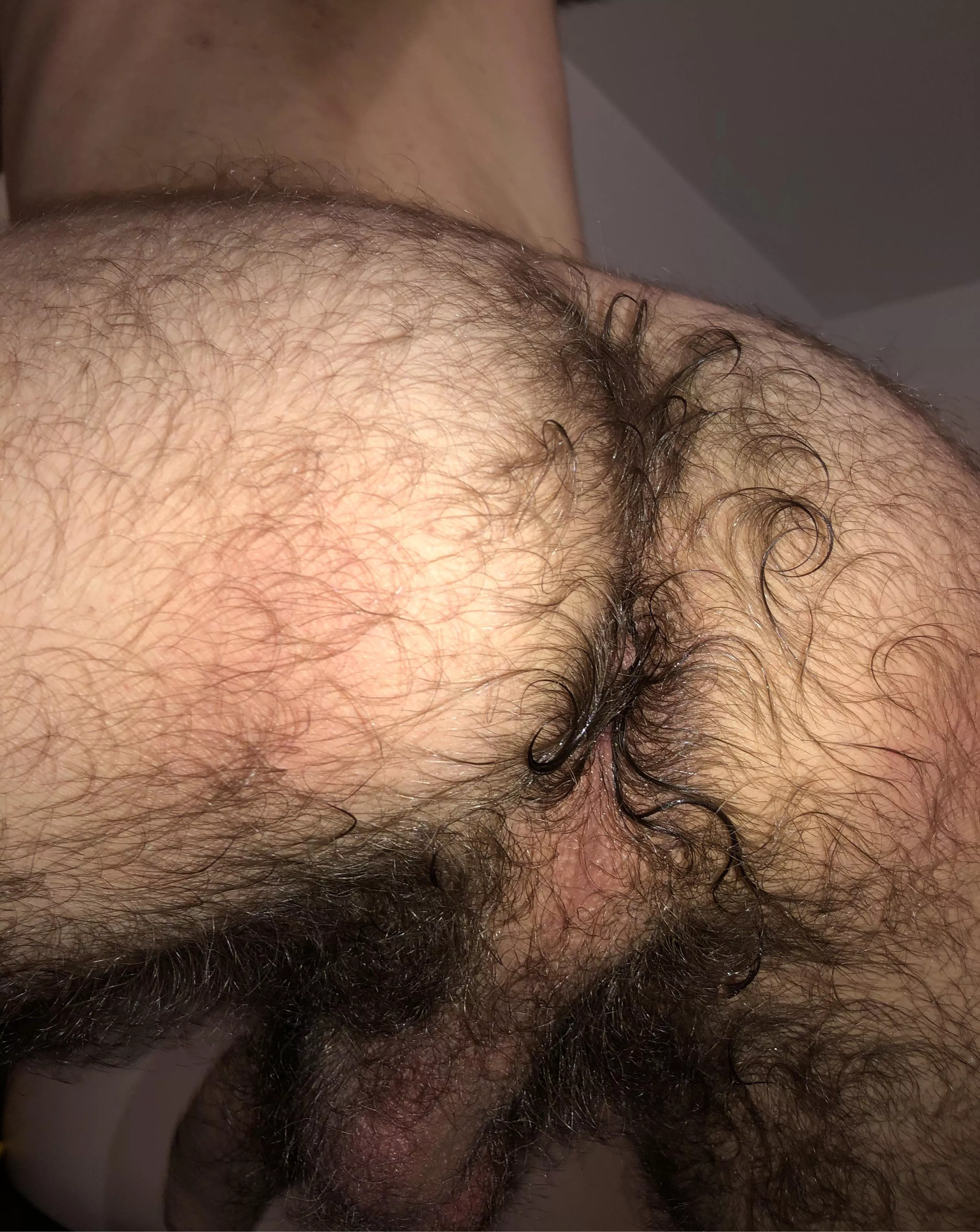 (19) hairy enough?😈