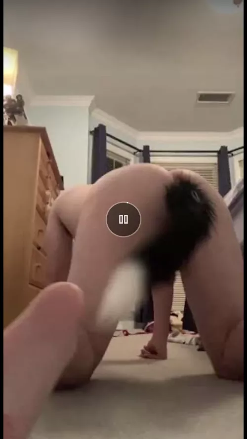 19 Just a puppy with a tail