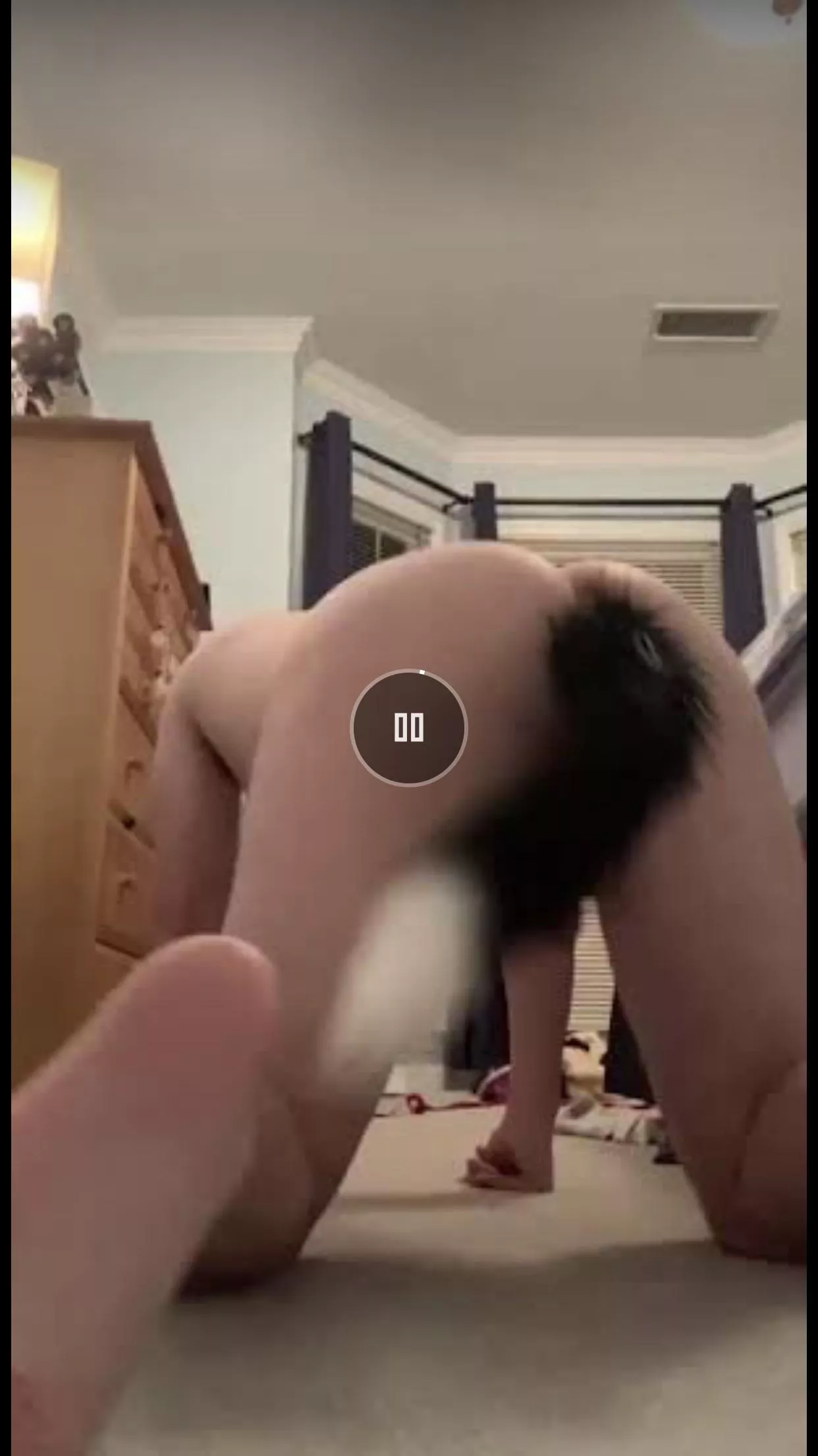 19 Just a puppy with a tail