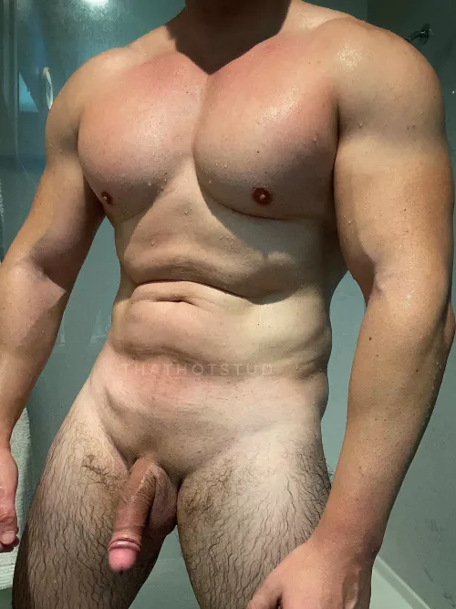 39 M San Francisco Bay Area Bull looking for hotwife