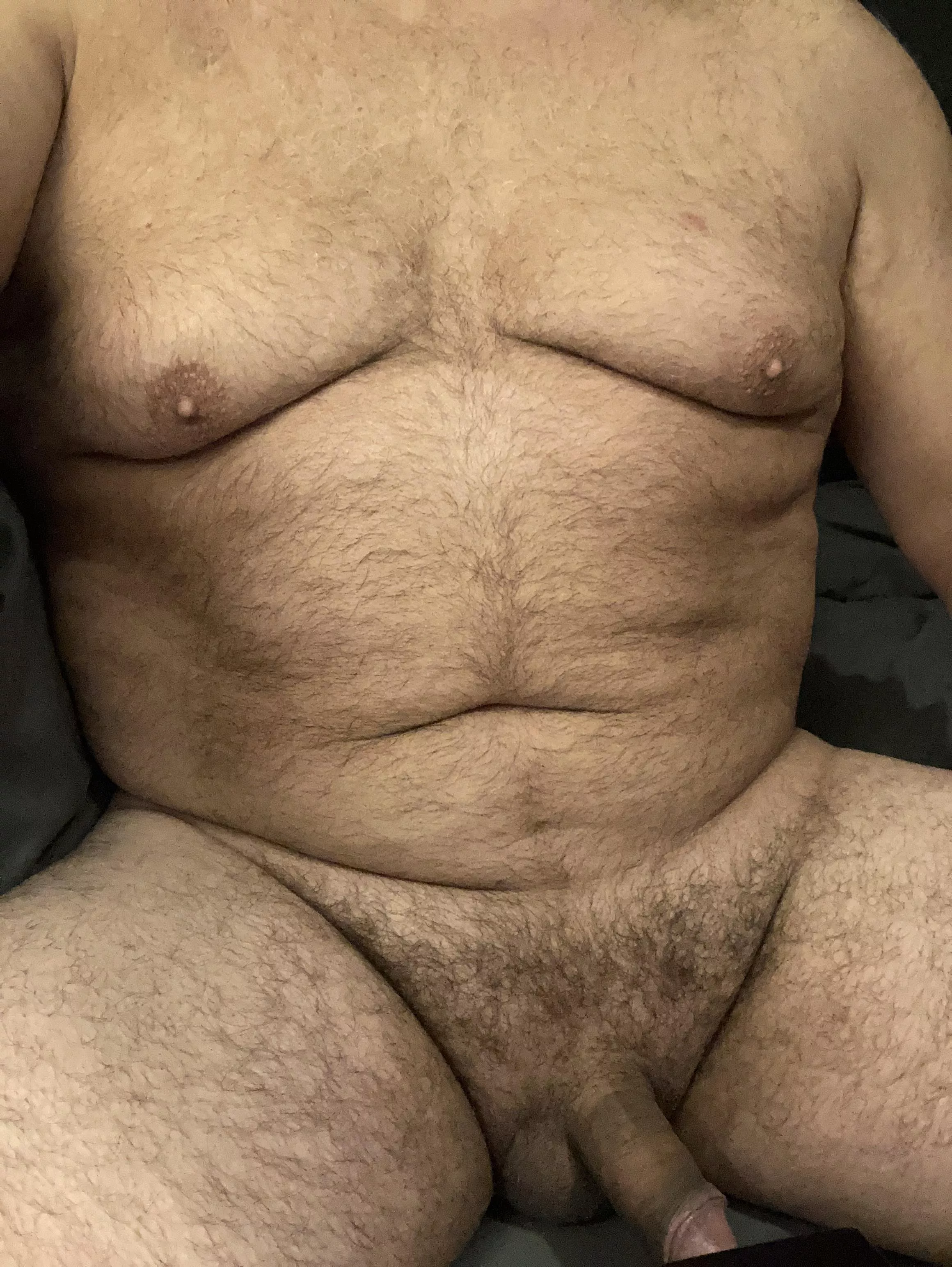 51, bear with a cream pie fetish