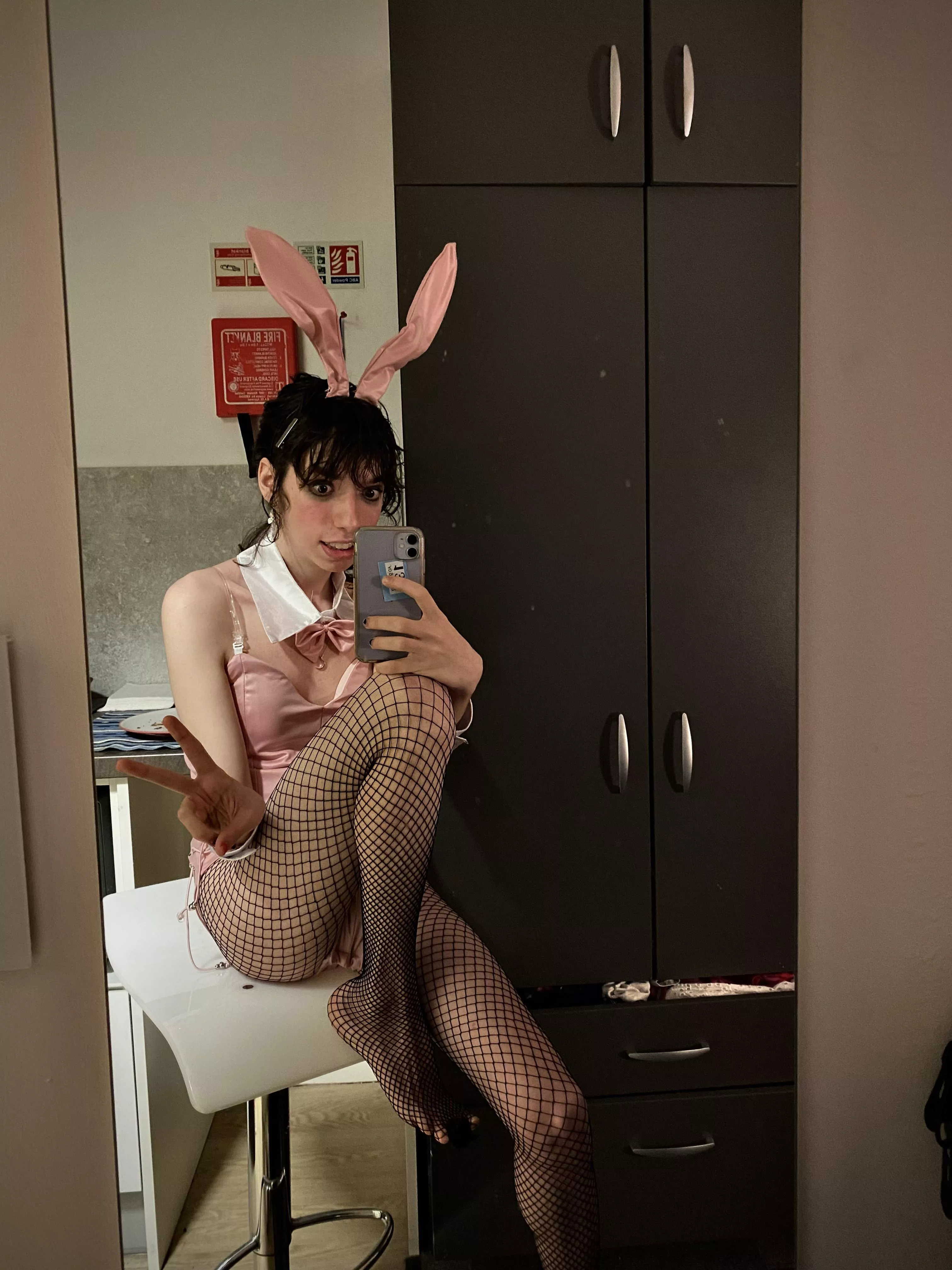 Anyone like bunny tgirls?