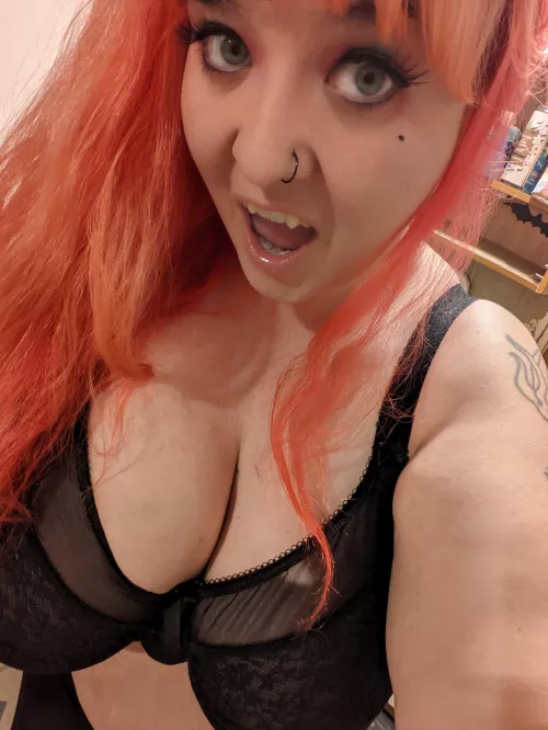 came to grab a bite..