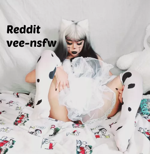 Careful, I'm a stray..