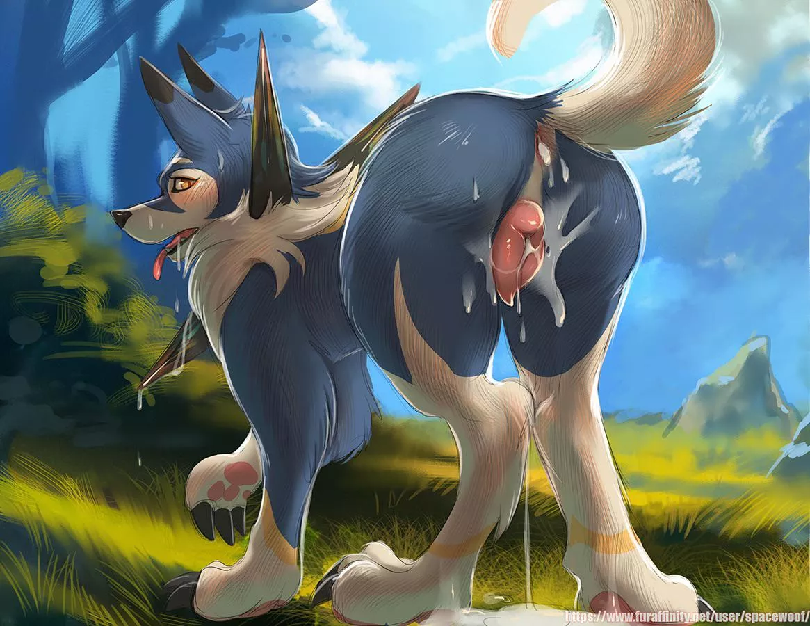 Creamed dog behind! [F] (spacewoof)