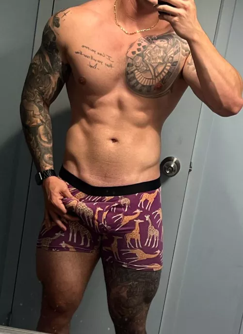 Did you notice the giraffes?