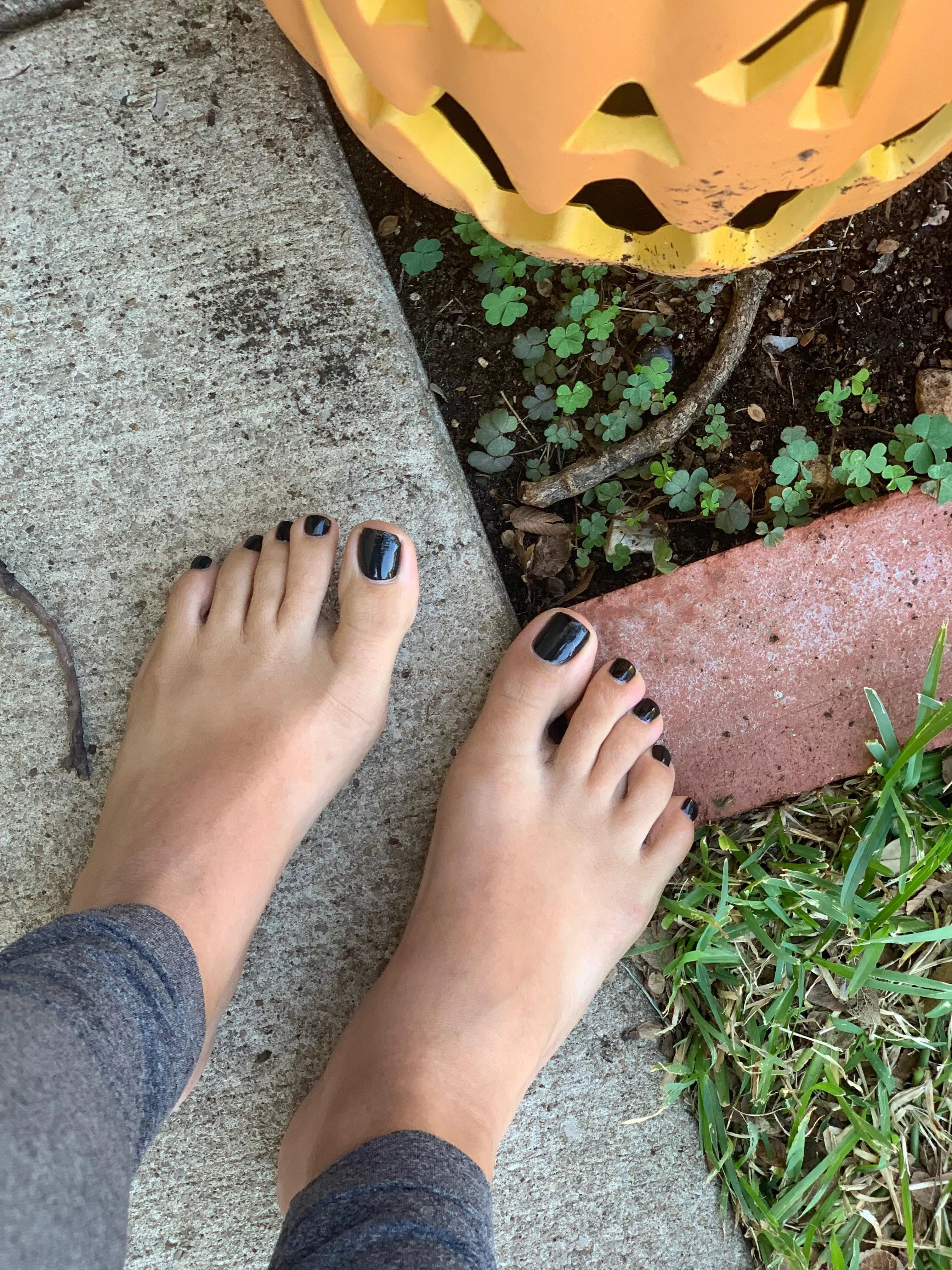 Do I have to put up my Halloween decorations??