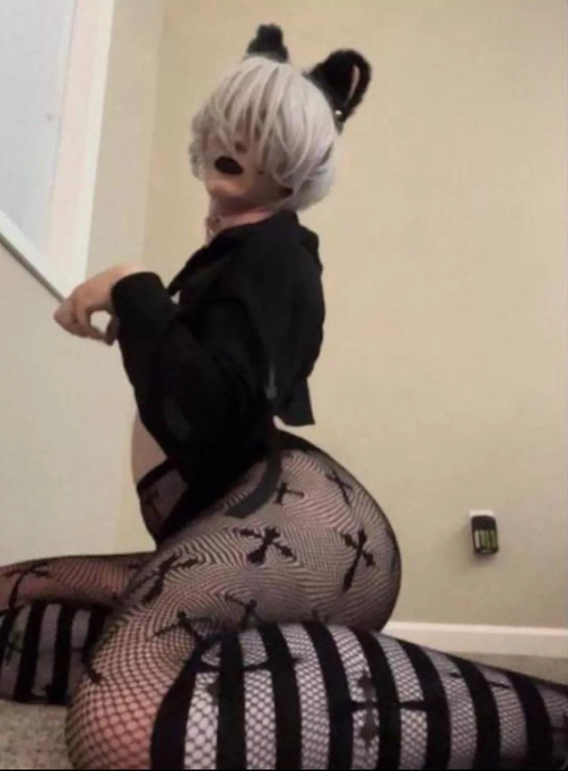 Do you like my collar? 🐈‍⬛