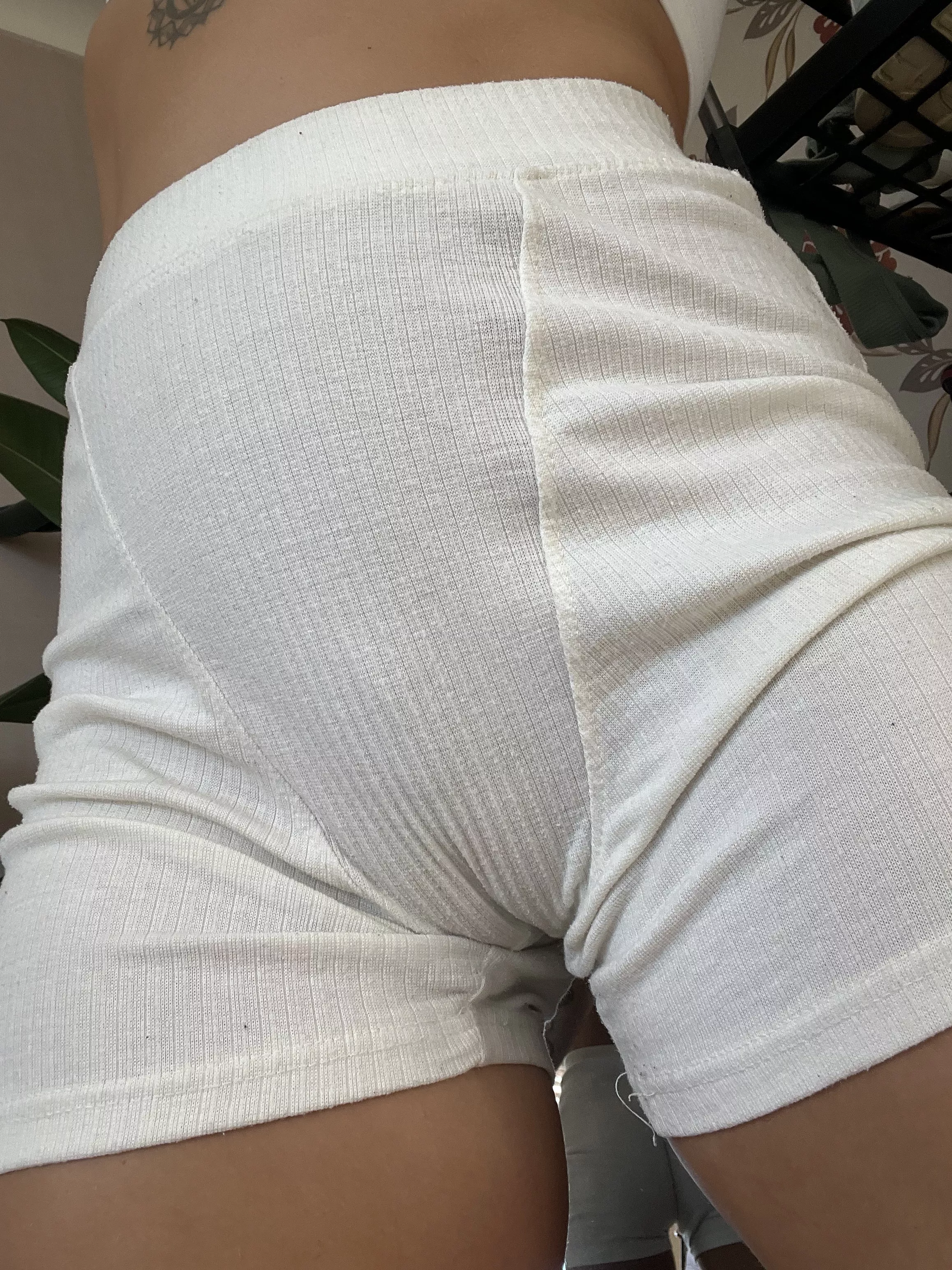 Do you like my shorts? 🐫