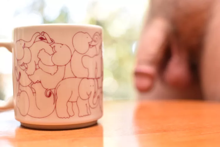 Elephants always have parties that none of them ever forget. Good morning!