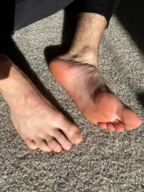 Enjoying the sunlight