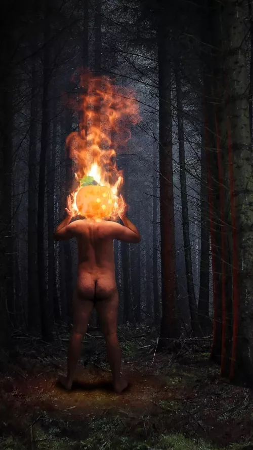 EXTERNAL // COMBUSTION