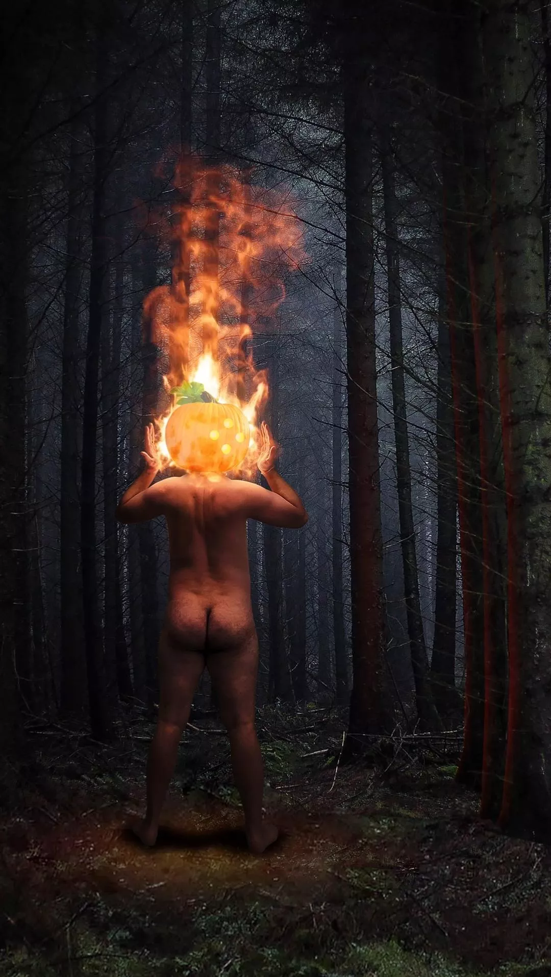 EXTERNAL // COMBUSTION