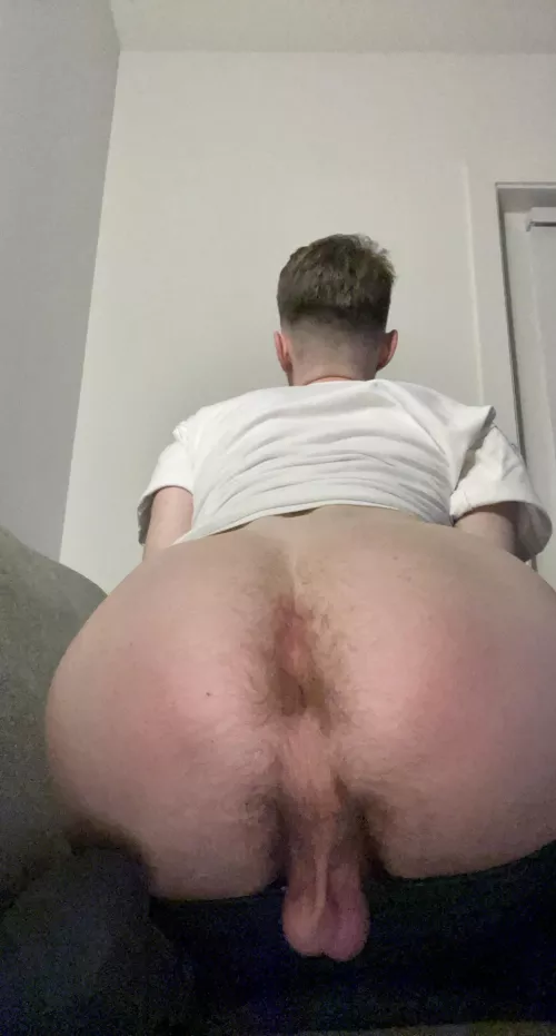 Hairy Ass ft Balls 👌🏻