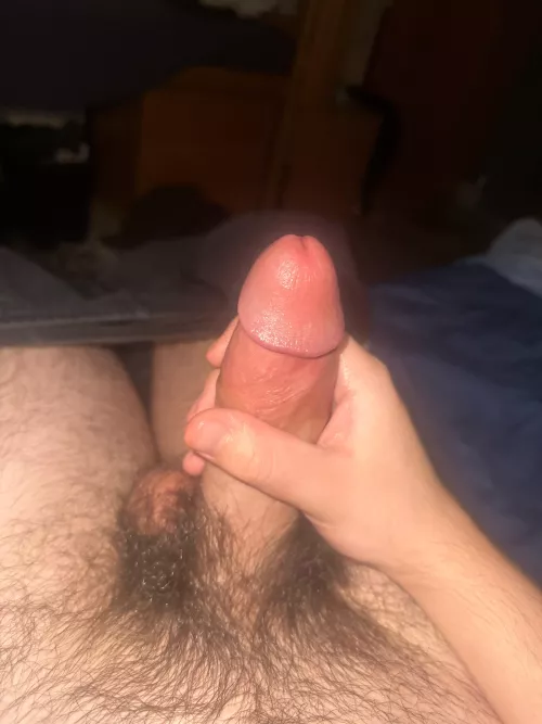 Hairy dick - 11/01/22