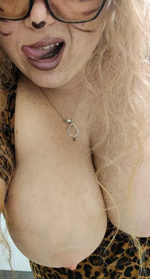 Halloween kitty with ghost nips, carful she bites!