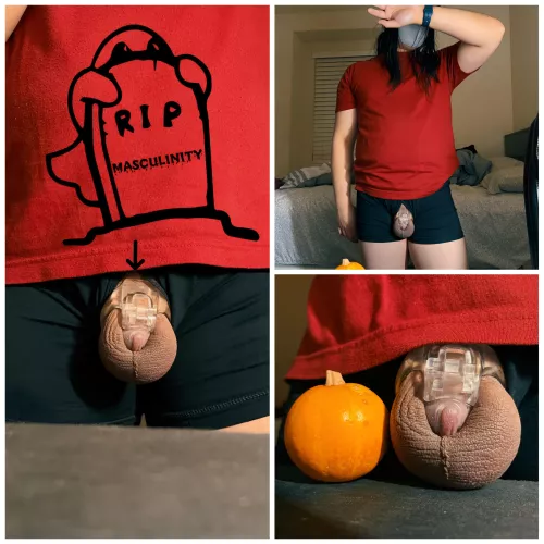 Happy Halloween and End of Locktober! 🎃