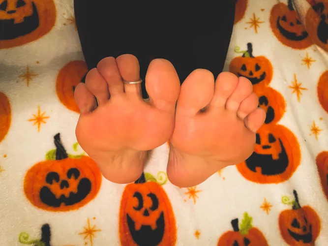 Happy Halloween! Come snuggle with me & I can be your treat 😉