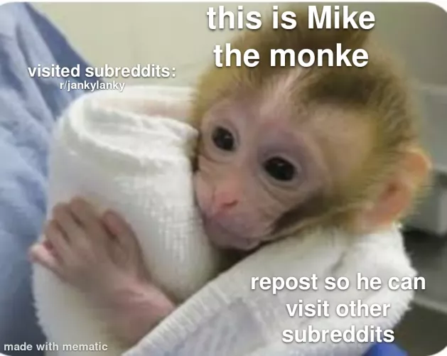 he is a nice monkey