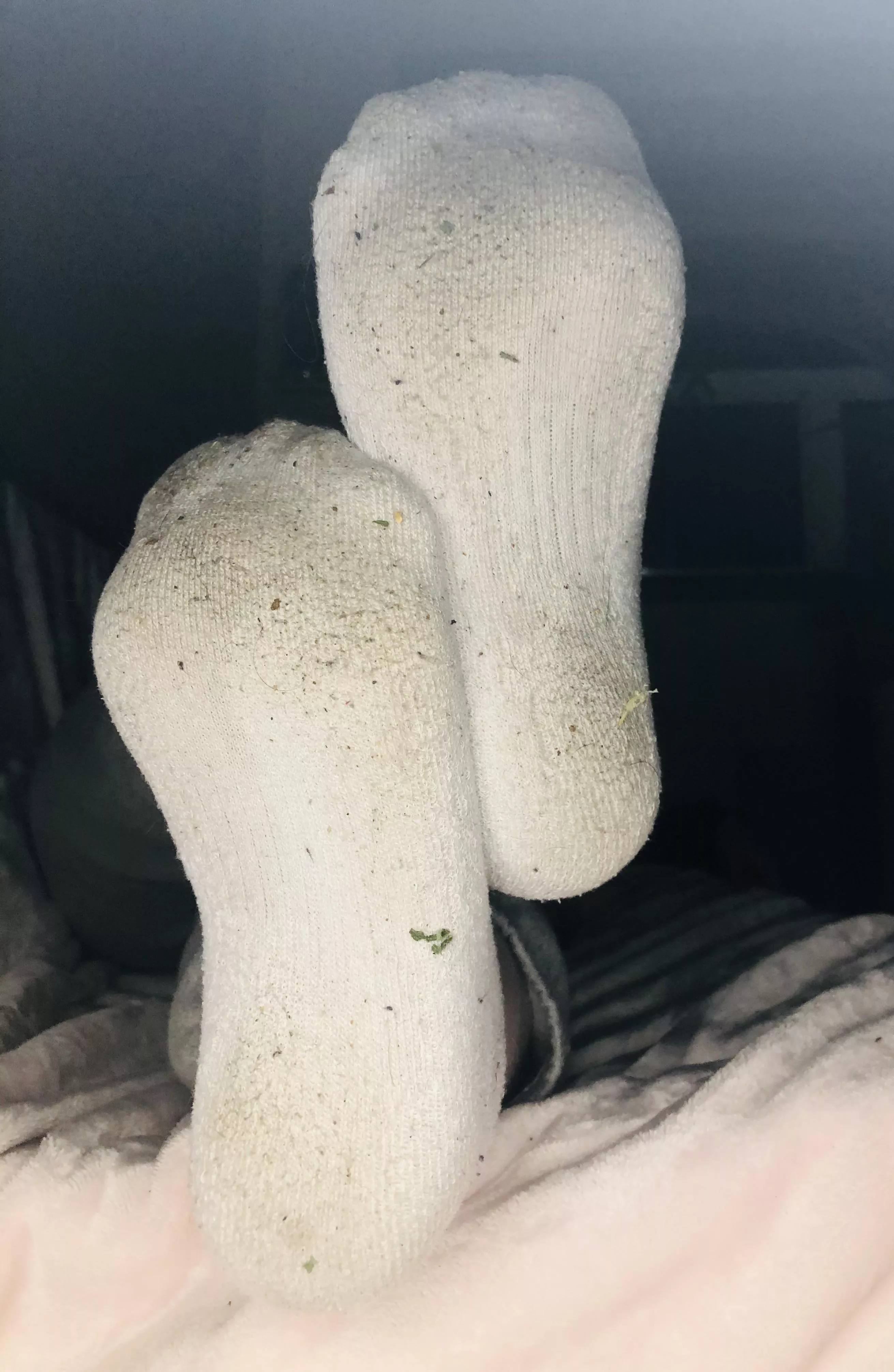 How stinky do you think my socks are?🥵