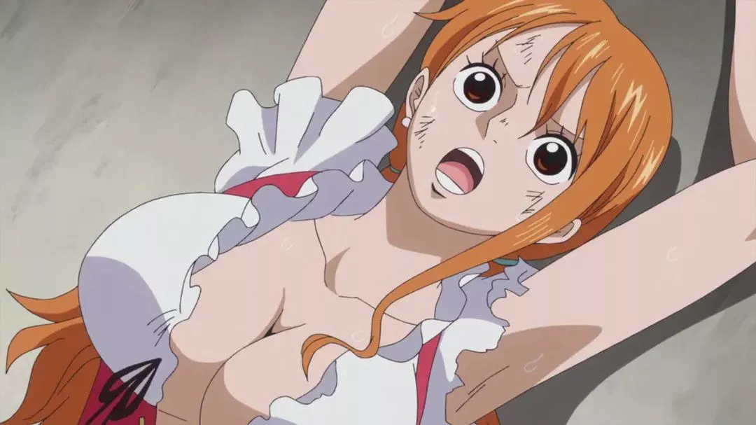 I mostly care for Nami cause of her sexy honkers [One Piece]