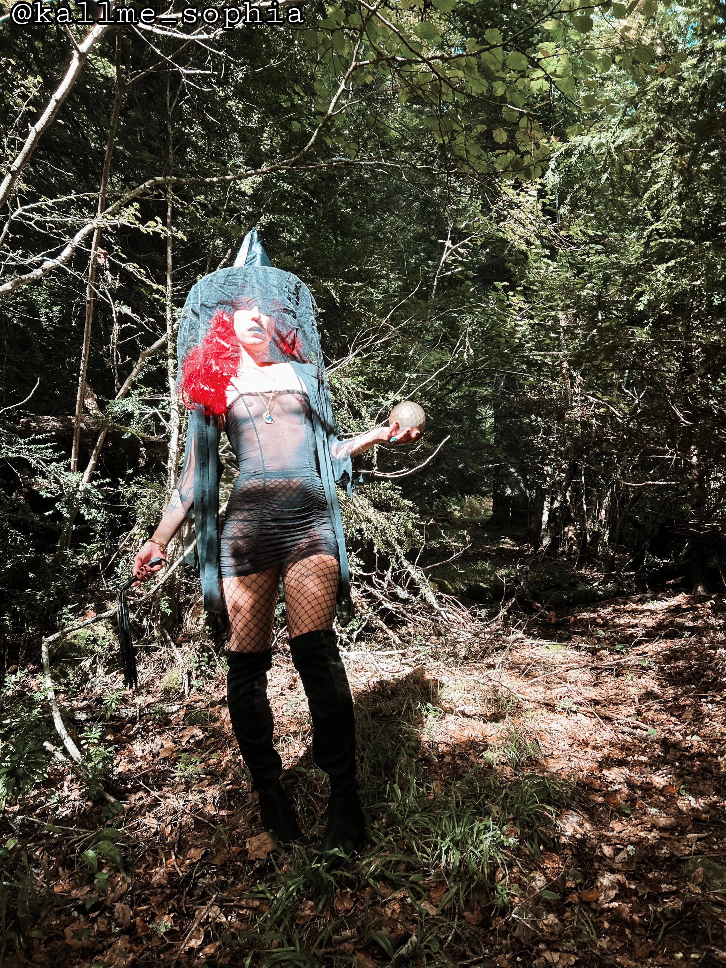 I saw a witch in the forest