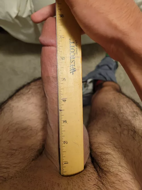Is this a good size? PMs open