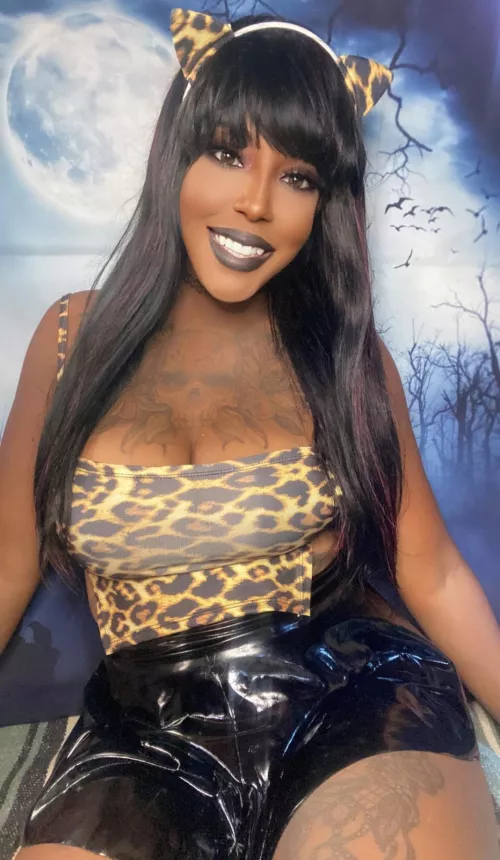 Josie and the Pussy cats